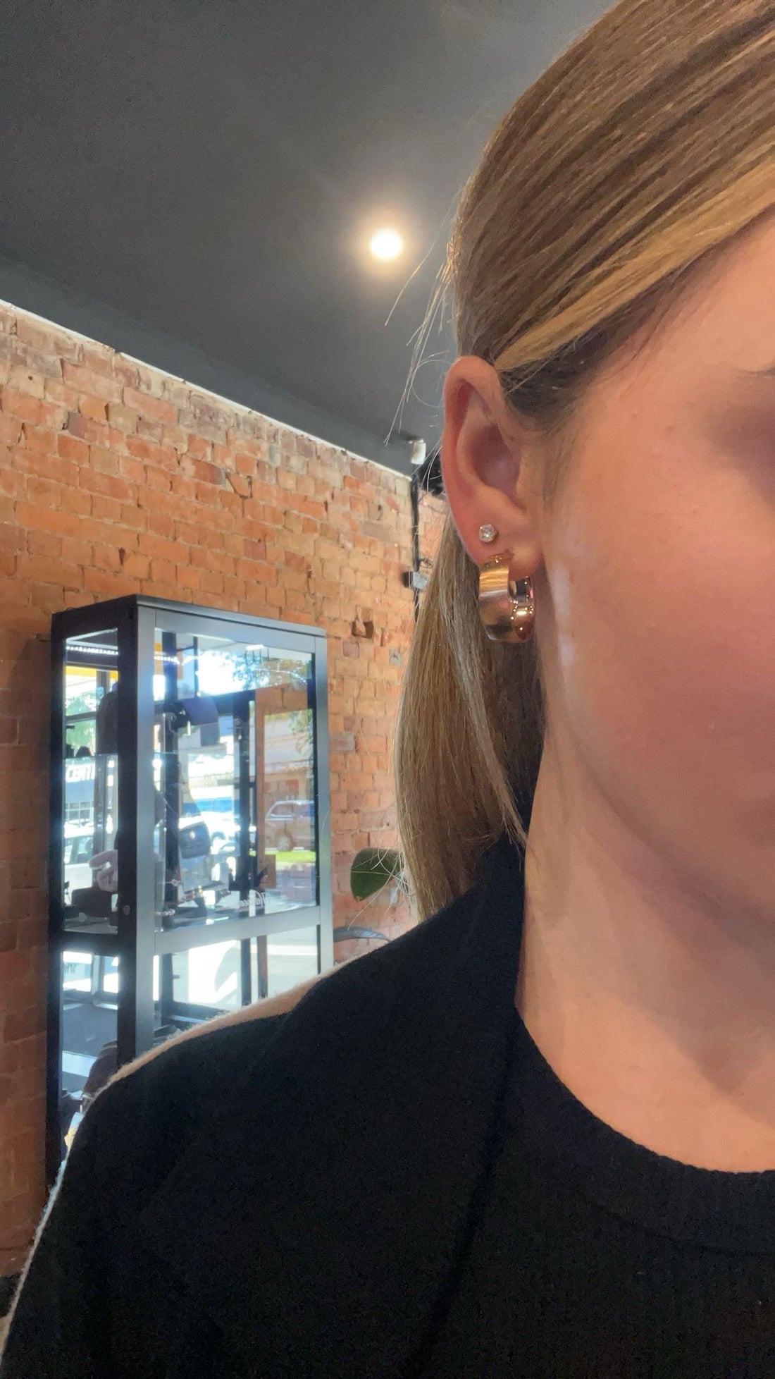 Diamond Dust Hoops
