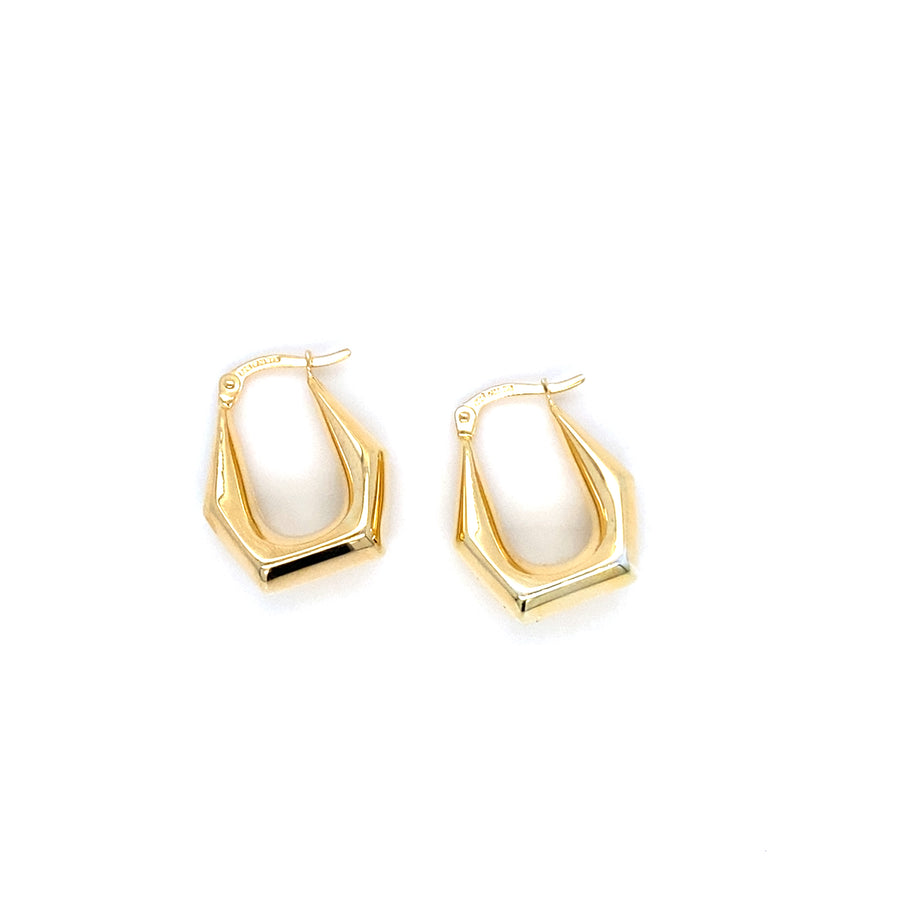 Hex Earrings