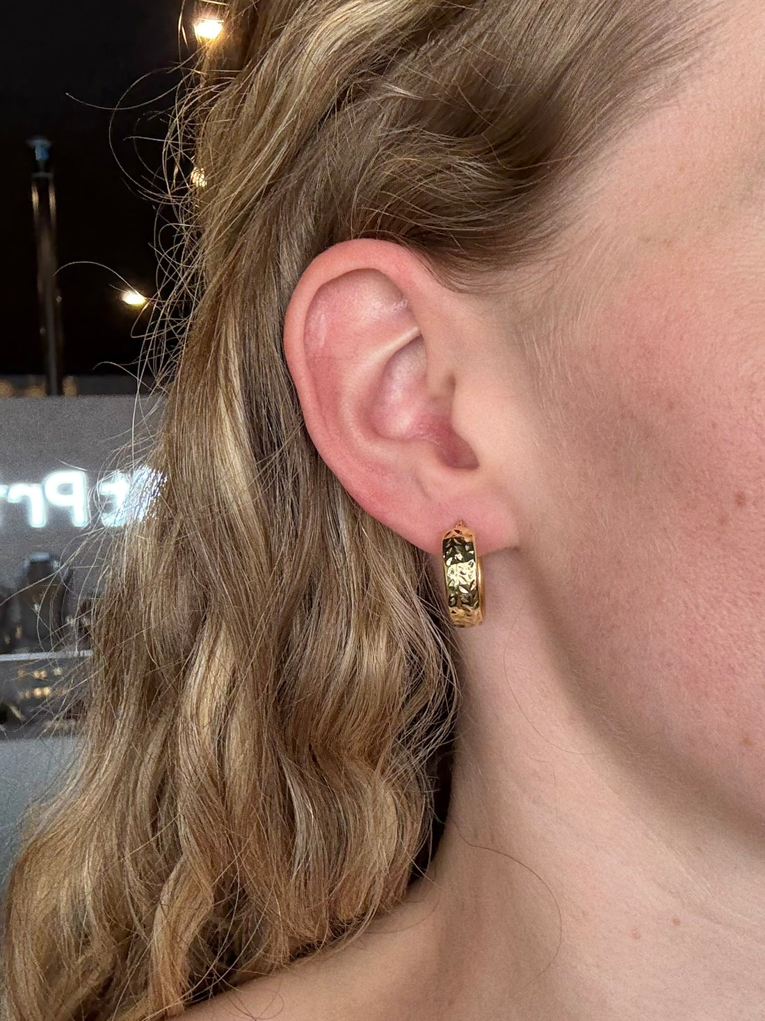 Leo Earrings