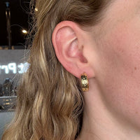 Leo Earrings